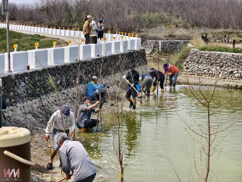 湖東社區植樹減碳 種下荒野地詩意的想像 - https://www.watchmedia01.com