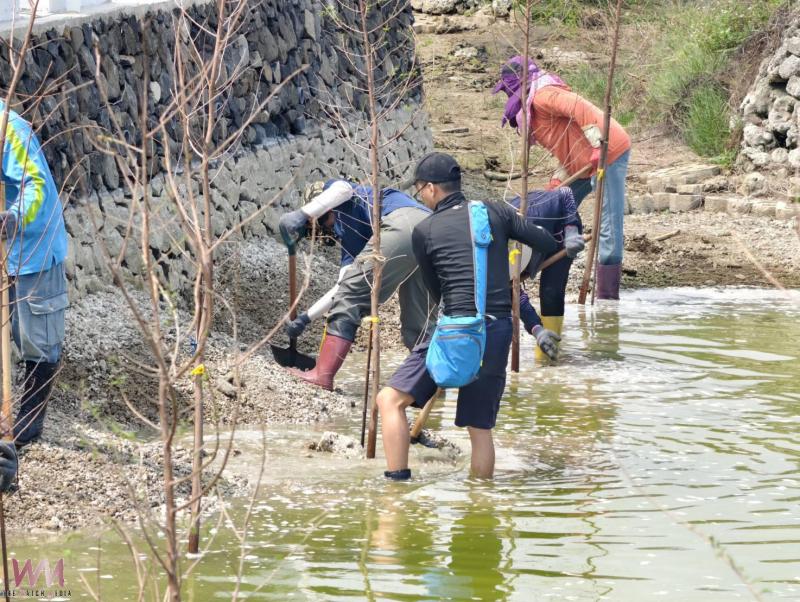 湖東社區植樹減碳 種下荒野地詩意的想像 - https://www.watchmedia01.com